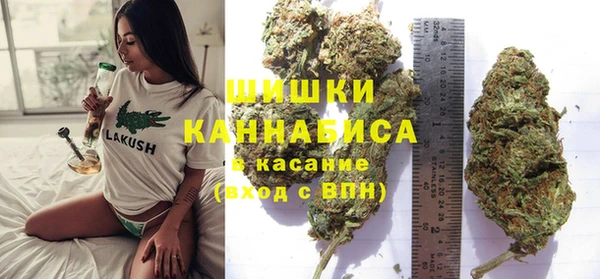 прущие крисы Алзамай
