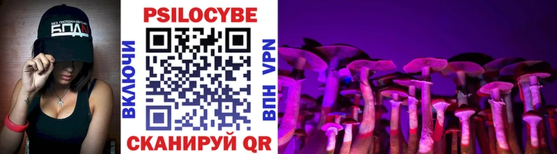 Галлюциногенные грибы Psilocybe  Белоярский 